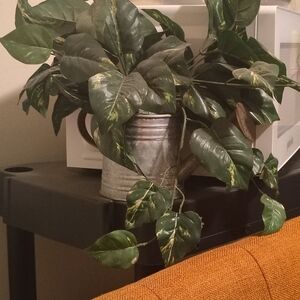Green Faux Pothos Vine in Silver Watering Can Accent